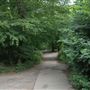 Highgate Wood
