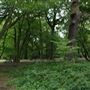 Highgate Wood