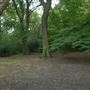Highgate Wood