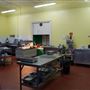 Carew Academy