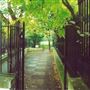 Cleveland Square