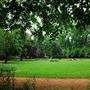 Gordon Square