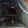 Paul's Walk Tunnel