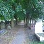 Tottenham Cemetery