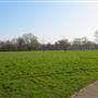 Well Street Common