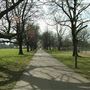 Tooting Bec Common