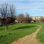 Shoreditch Park