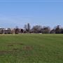 Wandsworth Park