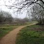 Wandle Meadow Nature Reserve