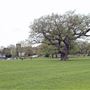 Bruce Castle Park