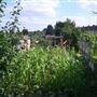 White Hart Lane Allotments