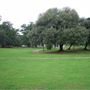 Avenue Gardens