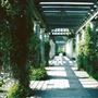 Hampstead Heath - the Hill Garden and Pergola