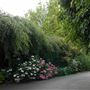 Hampstead Heath - the Hill Garden and Pergola