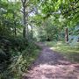 Mad Bess Wood