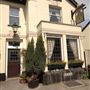 The Wych Elm