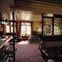 The Wych Elm
