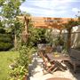 The Wych Elm