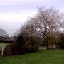 Totteridge Fields
