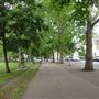 Highbury Fields