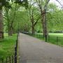 Highbury Fields