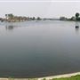 Walthamstow Reservoirs