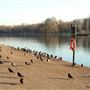 Serpentine, Hyde Park