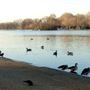 Serpentine, Hyde Park