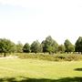 Bushy Park
