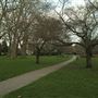 Lewisham Park