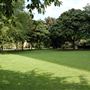 King Square