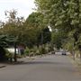 Broadwood Avenue