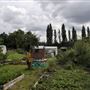 Birchen Grove Allotments