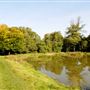 Barn Hill Open Space