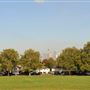 Hilly Fields