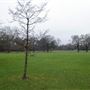 Dulwich Park