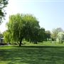 Harrow Recreation Ground