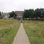 The Terrace Field