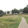The Terrace Field