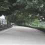 The Terrace Field
