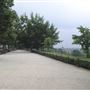 The Terrace Field
