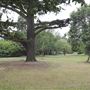 The Terrace Gardens