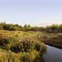 WWT London Wetland Centre
