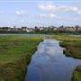 WWT London Wetland Centre