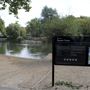 Barnes Green