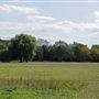 Barnes Common