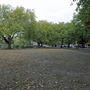 Barnes Green