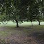 South Millfields Recreation Ground