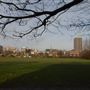 Weavers Fields