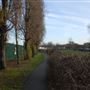 Allen Gardens